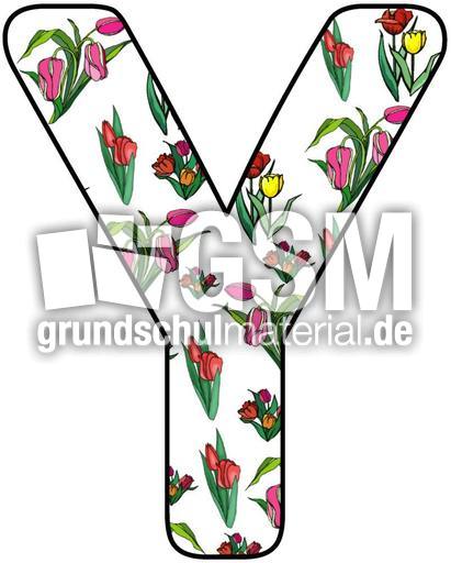 Tulpen-Buchstabe-Y.jpg